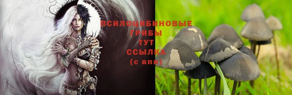 твердый Алзамай