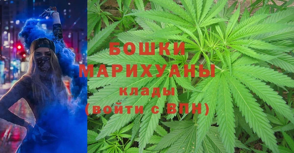 твердый Алзамай