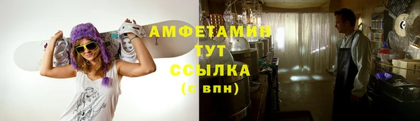 твердый Алзамай