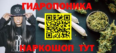 дмт Абакан