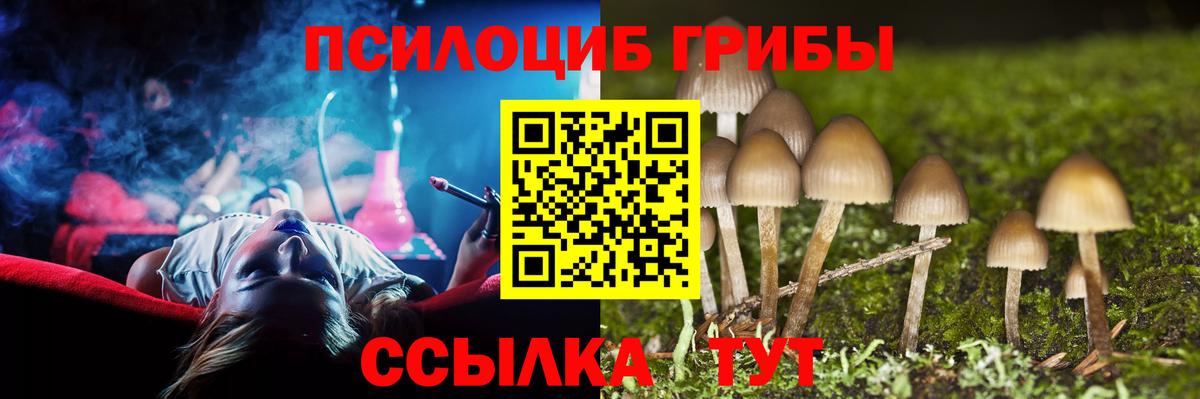 Псилоцибиновые грибы GOLDEN TEACHER  Вход с VPN  Алексеевка 